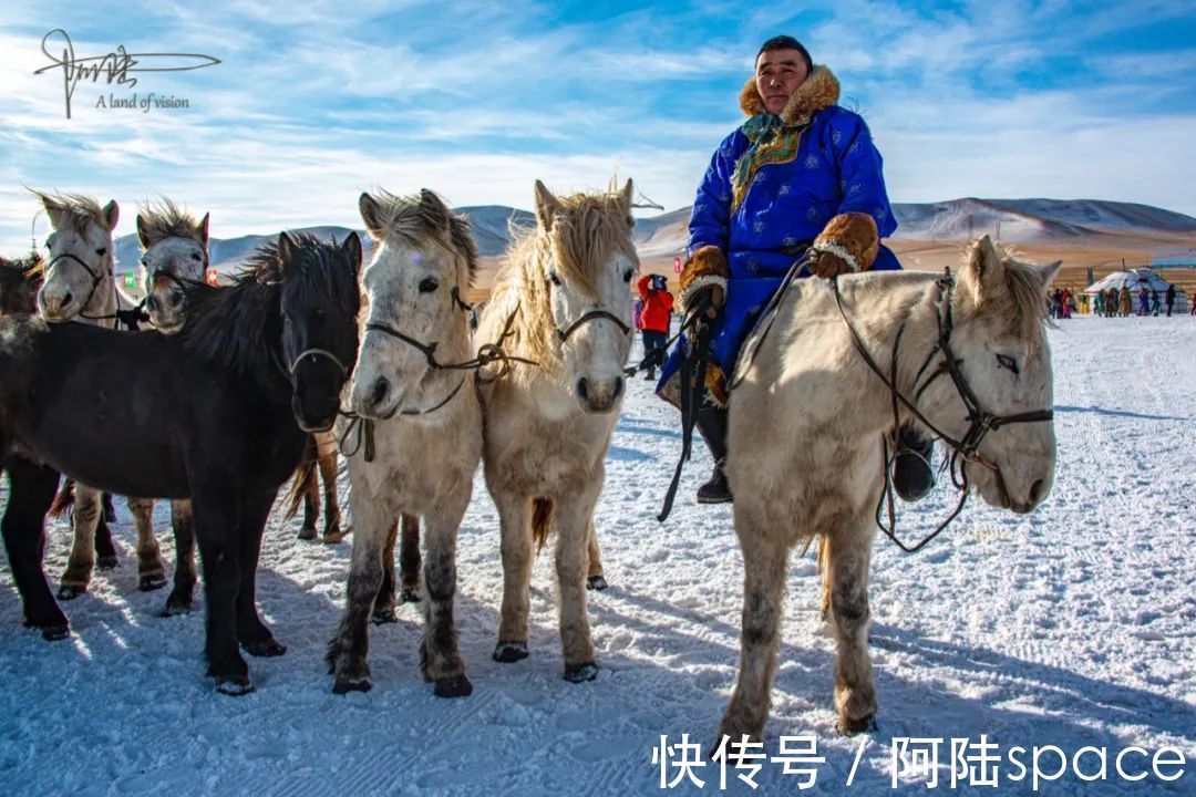 成吉思汗|西乌珠穆沁旗的白马个子不高，块头也不大，却是马群中的贵族