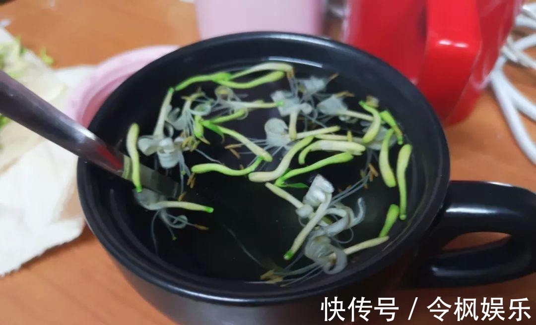 老中医最爱的8种花,一盆堪比小药箱,摘片叶子就能泡水喝!