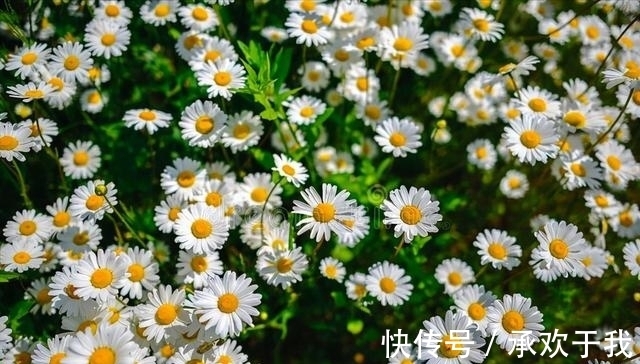 锦霞&千山暮雪无言叙,独客西风入梦游。浅秋寄语