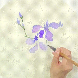 示范&用没骨技法画胡萝卜和鸢尾花,这样的示范案例领你入门