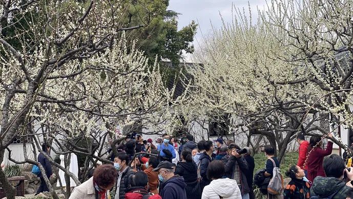 3天接待游客226.84万人次!“就地过年”激活上海文旅消费市场