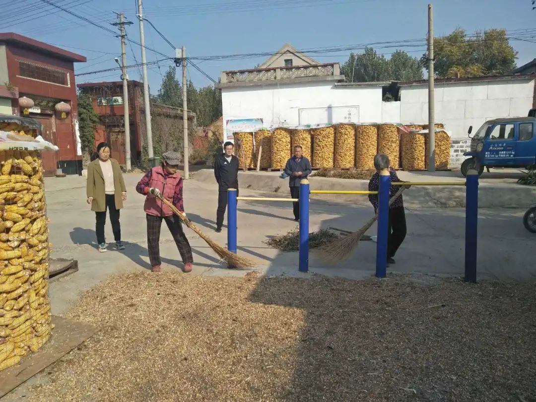 台子|台子镇：周末不休，全民动手提升城乡颜值