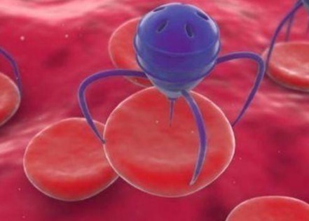 慢性疾病|为什么“癌症”喜欢瘦子,胖子和“它”无缘可能看完你就明白了