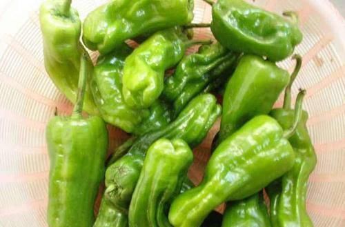 食物|女性不想变老，推荐几种食物，美容养颜，抗衰老，滋养肌肤