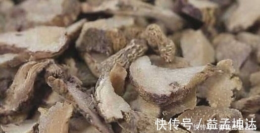 农民朋友|农村一种野草,具有止血神效,有人种它一亩纯收入20万!