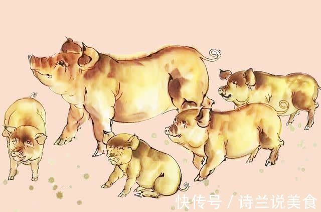 腹黑|为人比较腹黑,不会容易让人冒犯,总是勇往直前的三个生肖