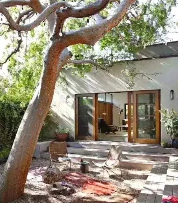 我们心中的小院, 每晚睡前都幻想着它的模样