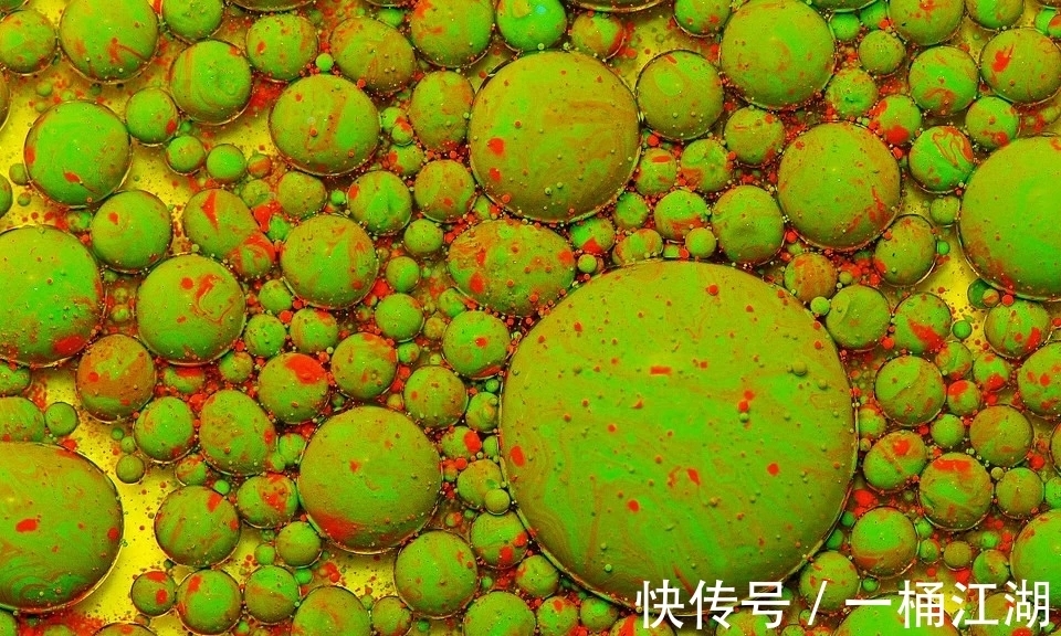 冷知识|32个冷知识:或许看起来有些荒唐,但却有所依据的有趣知识