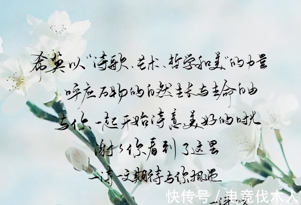 玉肤$请乘理想之马,挥鞭从此启程