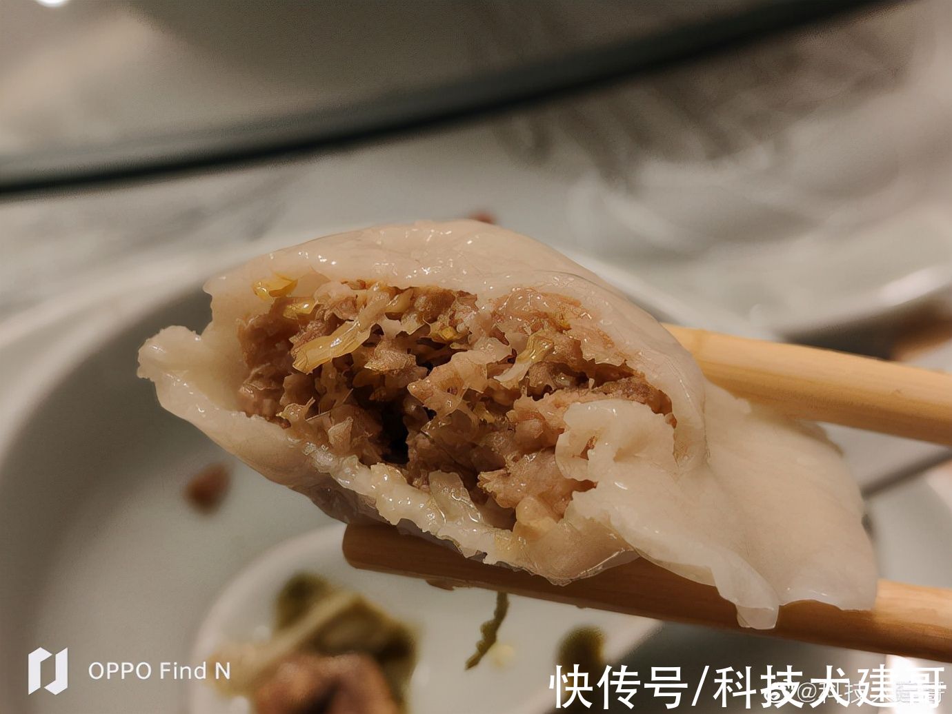 OPPO|「科技犬」OPPO Find N随手拍：锅包肉、酸菜饺子，太香了