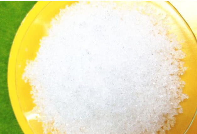 “君子兰”开花不断，离不开的“2个关键点”，不夹箭，开花多！