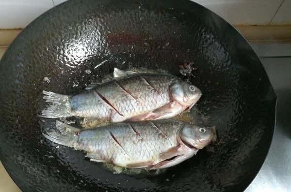 被“误解”最深的鱼,它的全身是宝,比甲鱼营养,一斤5元没人买