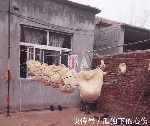 妈妈|奶奶带孩子很少花钱买纸尿布,妈妈回去看到晾着的东西,眼前发黑