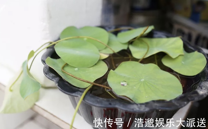 改造|30㎡房屋大改造，装出“3房1厅”，功能强大，太实用了