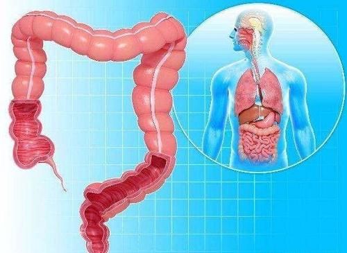  器质性疾病|大便不成形淤泥样，这是怎么回事？