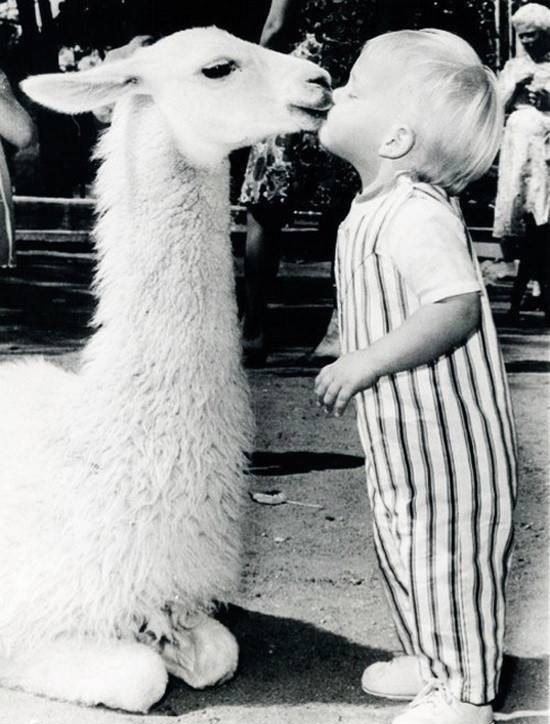 ps|29张没有ps的历史照片,看完第1张就泪奔了………