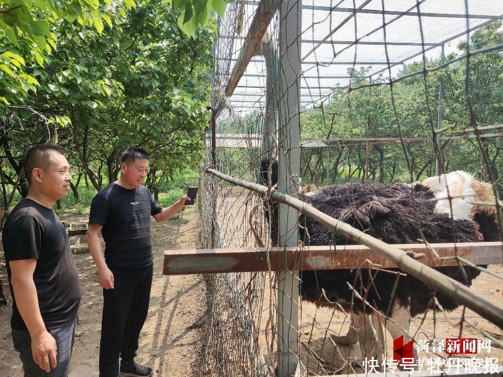 乡村|郓城县大杨庄村：深挖黄河文化，产业兴旅游旺带动村富民强