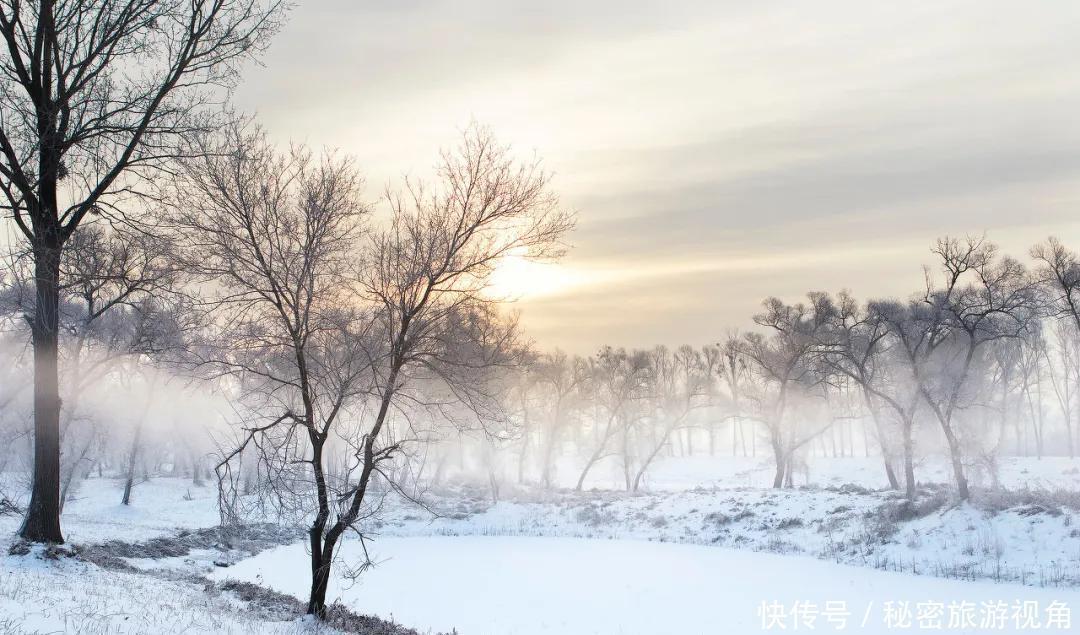 雾凇|一路向北，去中国最美的地方看冰花雾凇，逛梦幻雪乡！