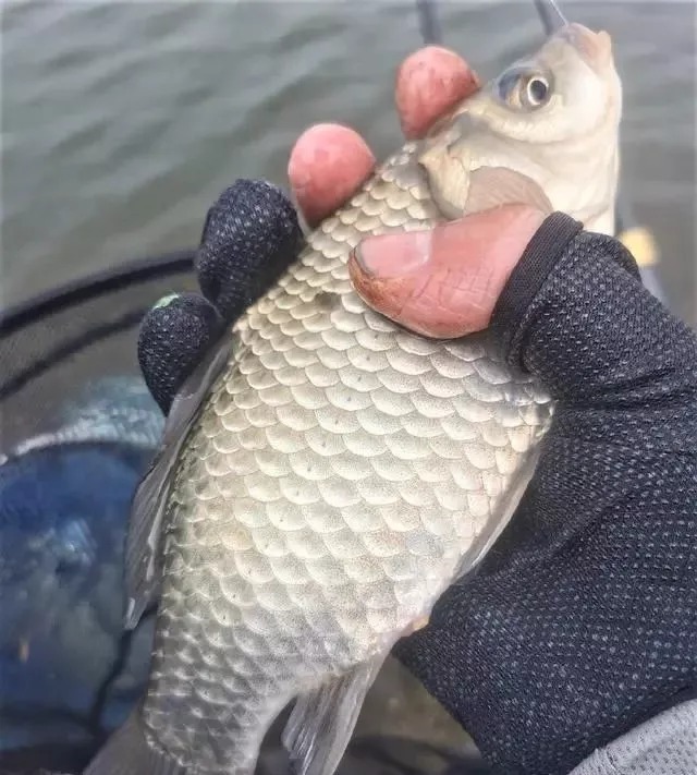 冬季哪些天气能钓鱼,哪些天气钓不到鱼?简单2点,让你收获满满