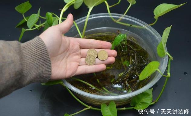 不管家里多穷,快在墙角放一枚5角硬币,不是迷信,学会涨知识了