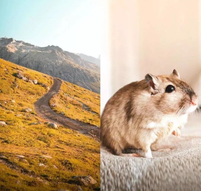 艺术家|这位好“色”的艺术家,拿大自然当画板,引11万人“想入非非”!