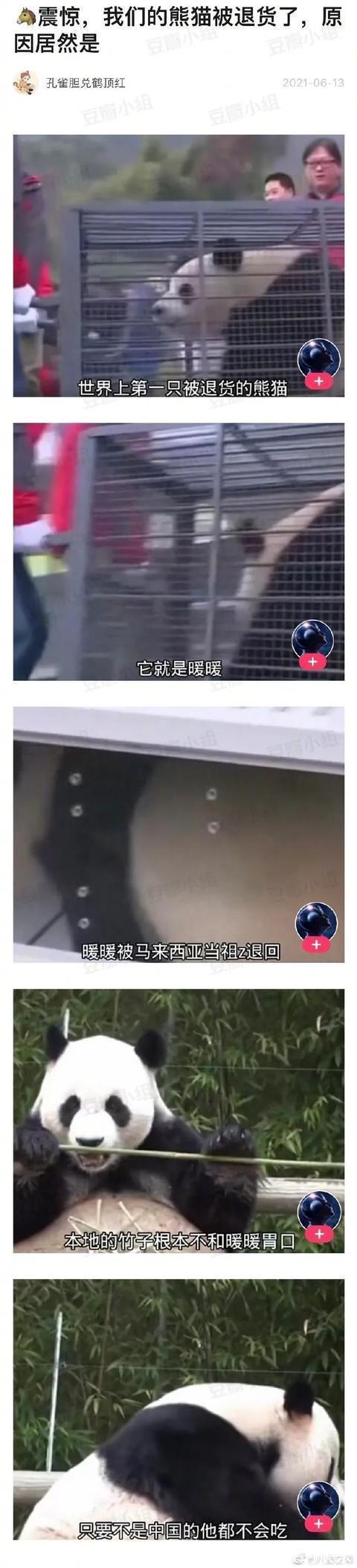 |甜粽和咸肉粽要打起来了 冷段子1830