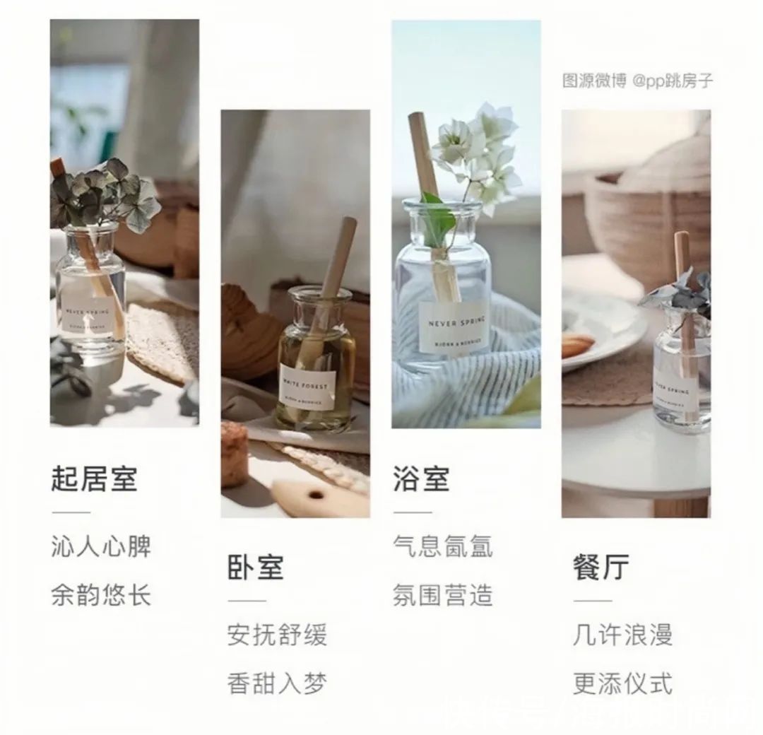 编辑|编辑部秀居家照,一起聊聊居家幸福感