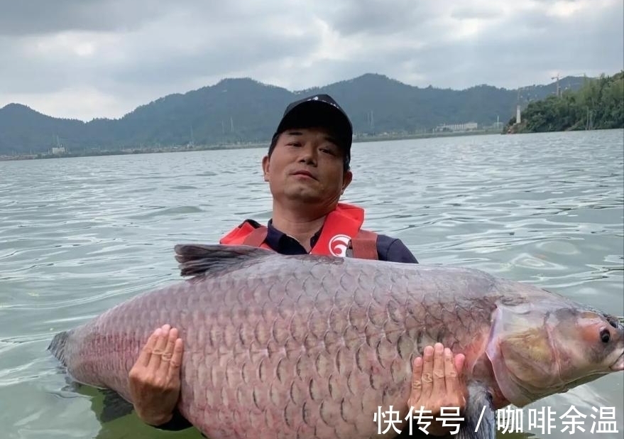 钓鱼|暗讽刘志强钓鱼不会打窝?钓王邓刚的言论引发“刘粉”质疑