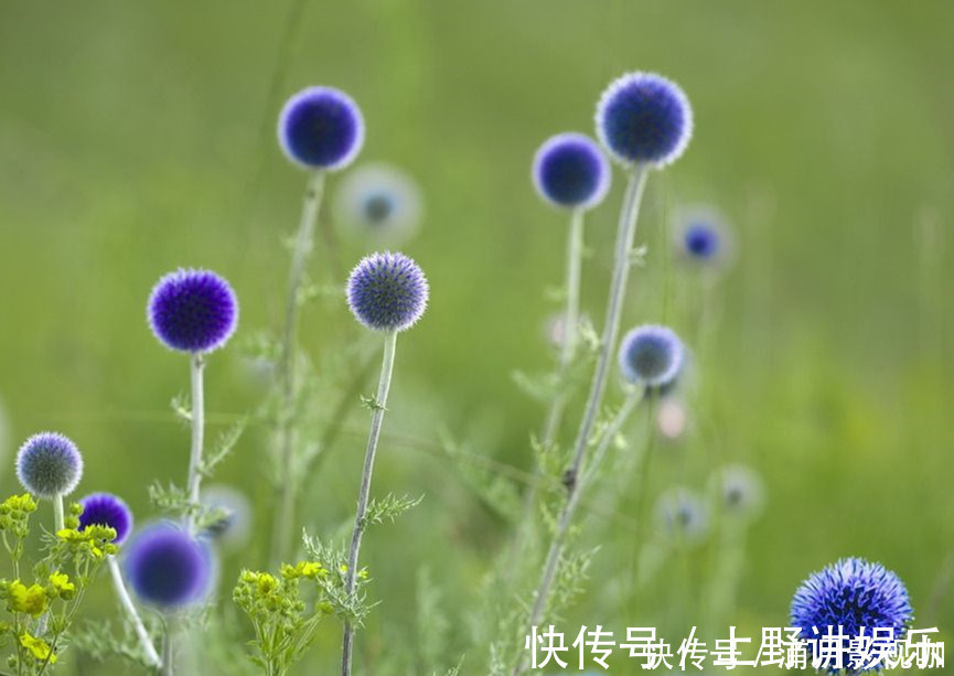 大方|看似抠门，其实十分大方的三个生肖男，为妻子“花钱不眨眼”