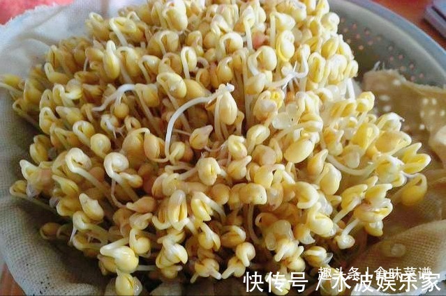 滤布|教你在家发豆芽,不用土壤不用肥料,3天就能吃,脆嫩营养又卫生