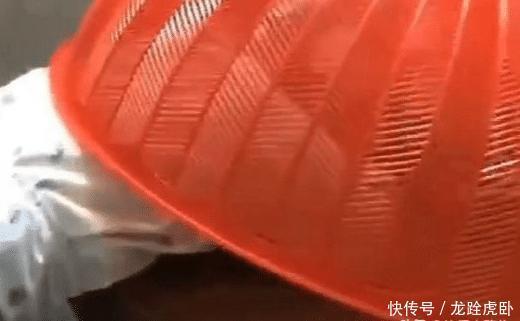 宝爸|宝宝掩耳盗铃式偷吃火了!被抓包时还投入的吃着,网友:家贼难防