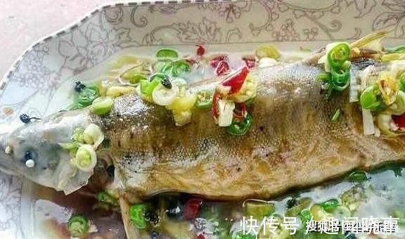 这种鱼横行了6千万年,10年才长1斤肉,却逃不过“中国吃货”的嘴