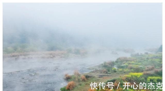 教育|有远见的父母,懂得在这3个方面给孩子自由,你做到了吗