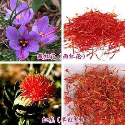 红花|藏红花和红花的区别，平时能泡水喝吗？藏红花你想知道的6大问题