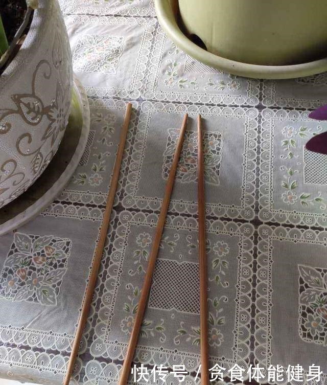 旧筷子、塑料瓶子别丢,稍微用点小心思,都是养花神器!