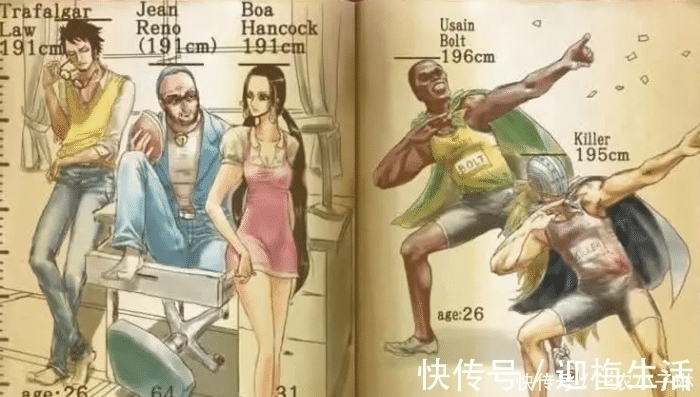 银魂|为啥《海贼王》里身高那么夸张?看过尾田的初稿大家就明白了