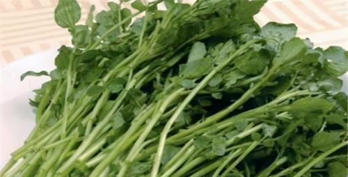 食物|女性不想提早变成“老太太”，常吃3种食物，改善气血，滋补身体