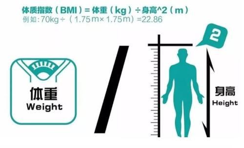 163cm标准体重女