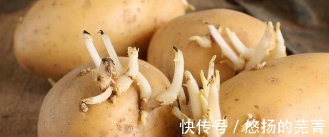 保存土豆的方法，原来这么简单，牢记三个小技巧，小半年都不发芽！