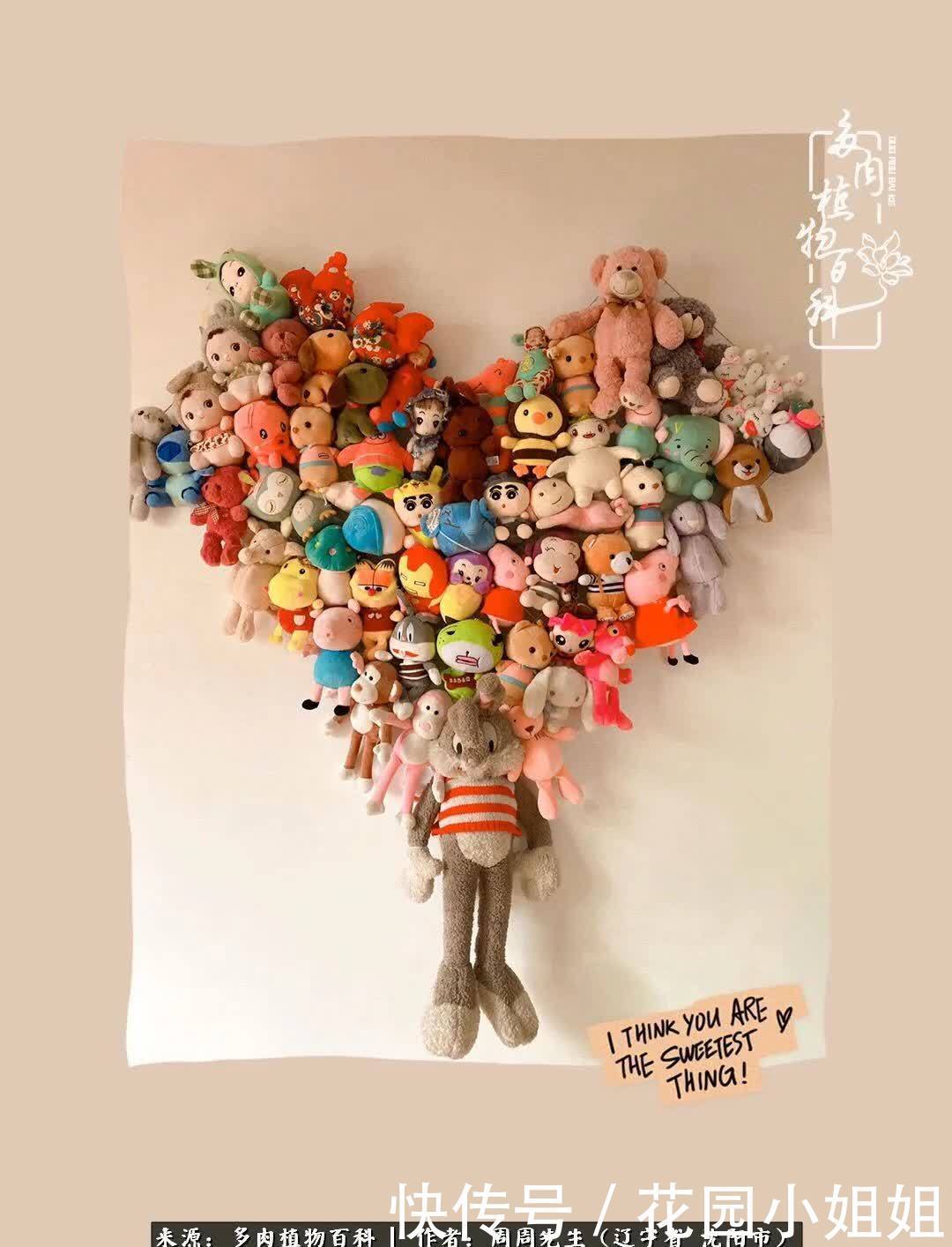 不羡鸳鸯不羡仙,只羡东北来春天!多肉冬去春来!