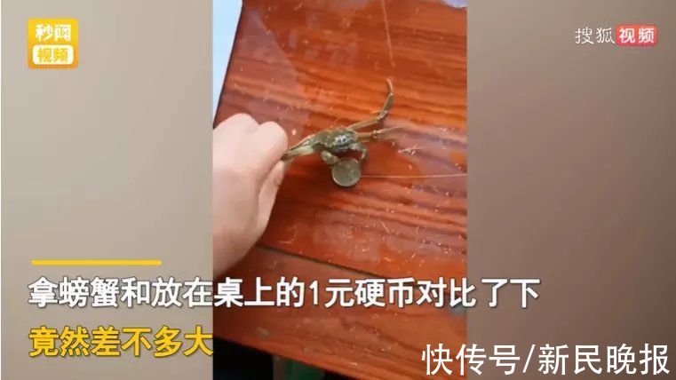 快递|68元网购20只大闸蟹！男子打开快递瞬间懵了！意想不到哈哈哈