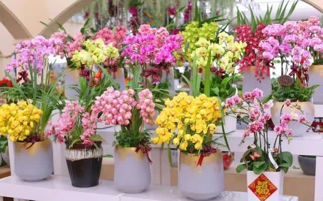 花草三不送,送了变“仇人”,这样看来,老祖宗的话,真的有道理