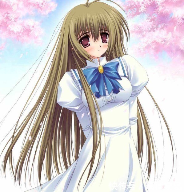 秀吉|动漫中很容易被误认成女孩的角色,人家这么可爱,当然是男孩子啦