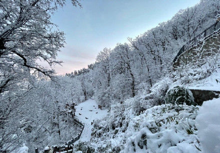 老年|全网点赞！秦岭雪景冲上热搜…未来几天这里或迎雨雪