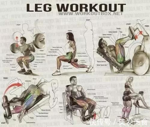 训练|健身房常用训练图解,每张图都是训练计划!