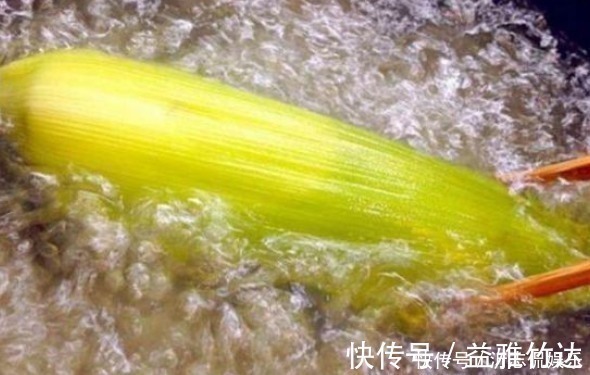朱医师|原来煮玉米还分冷水下锅和开水下锅,以前都白吃了,此法煮才健康