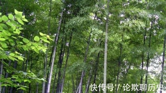 中国文学@唐诗里一首描写风的诗作,通篇都是风,但是却没有一个风字!