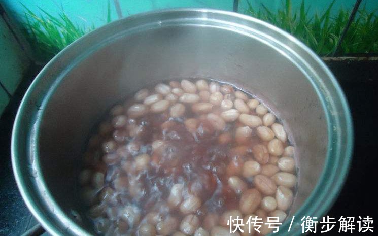 养君子兰|养君子兰,花盆里埋上10粒它,3个月蹿出4片新叶,开花50朵