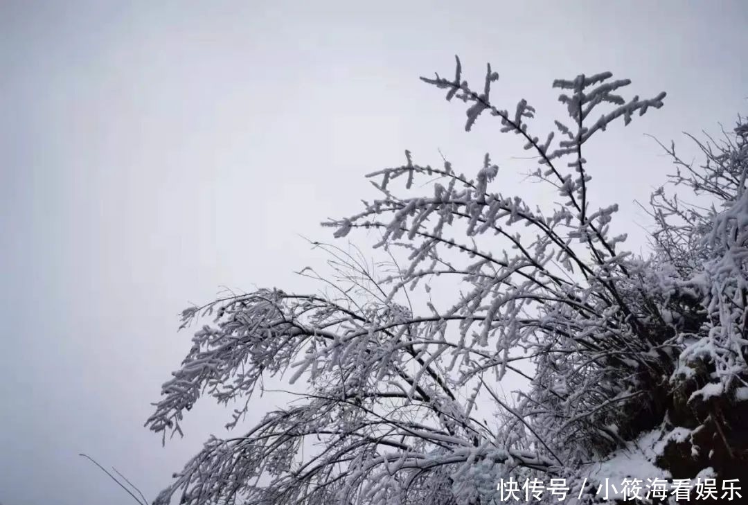 玩雪|绵阳最近的玩雪地，北川擂禹路“ 数千人”玩雪！