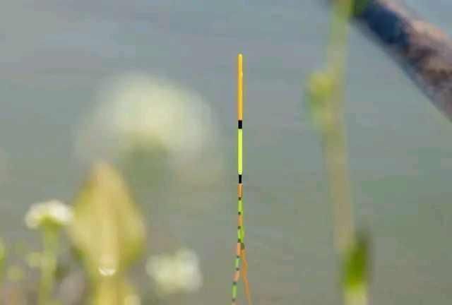 浮漂|浮漂顶起又落下，提竿却均不中鱼解读3种奇怪漂相不中鱼的原因